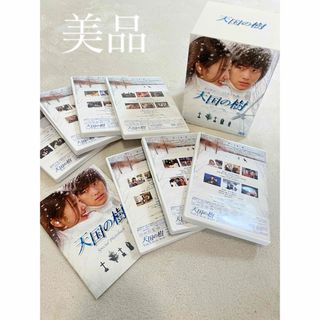 美品　天国の樹　DVD BOX 韓国 ドラマ 全巻　