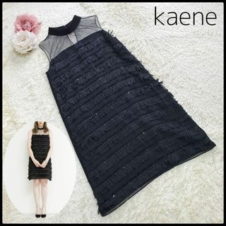 カエン(Kaene)の【美品】kaene 襟付き フリンジ ワンピース レース シアー素材 パーティー(ひざ丈スカート)