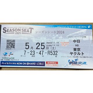 中日ドラゴンズ - 送料込5月25日(土)中日対ヤクルト戦バンテリンドーム　ドラゴンズ外野応援席ペア