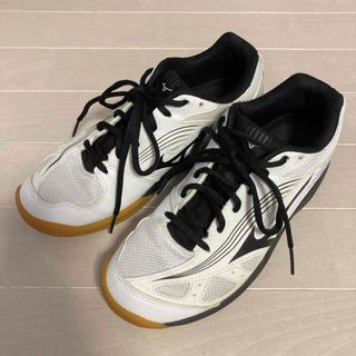 ミズノ(MIZUNO)のsOulz8様専用【中古品】　ミズノ　室内シューズ(スニーカー)