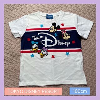 ディズニー(Disney)のTOKYO DISNEY RESORT ディズニーリゾート Tシャツ 100cm(Tシャツ/カットソー)