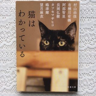 猫はわかっている(文学/小説)