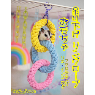 おもちゃ  小動物  吊り下げ  リング  ロープ  フック付き フクロモモンガ(小動物)