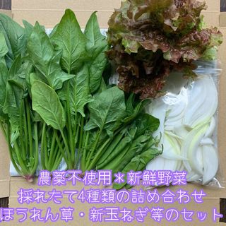 農薬不使用新鮮野菜＊採れたて4種類の詰め合わせ＊ほうれん草・新玉ねぎ等＊ネコポス(野菜)