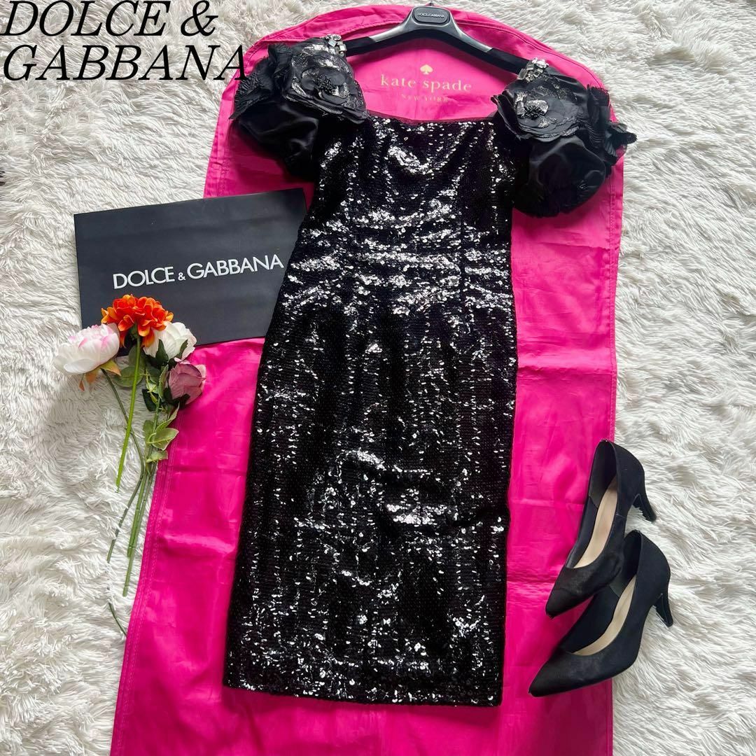 DOLCE&GABBANA - 【美品】DOLCE&GABBANA スパンコールロング DOLCE&GABBANA - 【美品】DOLCE&GABBANA スパンコールロング