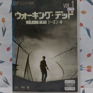 外国映画DVD【ウォーキング・デッド　シーズン４】(外国映画)