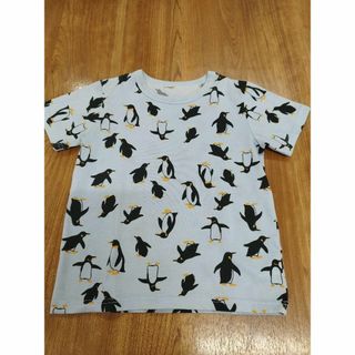 キッズ　半袖シャツ　140cm ペンギン(Tシャツ/カットソー)