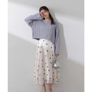 プロポーションボディドレッシング(PROPORTION BODY DRESSING)のPROPORTION BODY DRESSING シアードットスカート 24SS(ロングスカート)