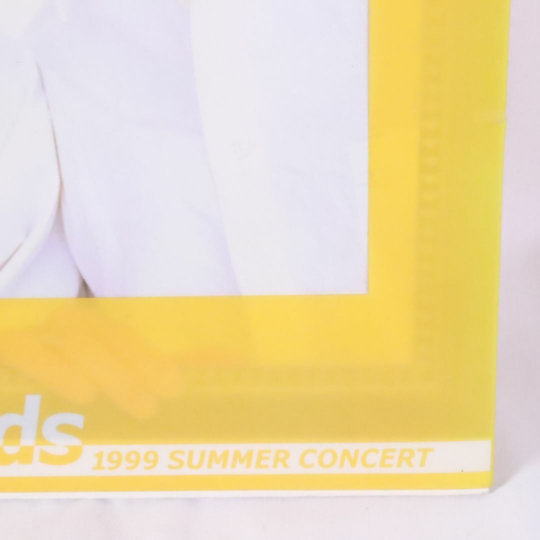 KinKi Kids(キンキキッズ)のKinKi Kids Summer concert 1999年　パンフレット　キンキキッズ　キンキ サマコン　堂本光一 堂本剛 エンタメ/ホビーのタレントグッズ(アイドルグッズ)の商品写真