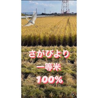 ⭐️新米 令和5年産1等米⭐️佐賀県産さがびより20k(5k×4袋)(米/穀物)