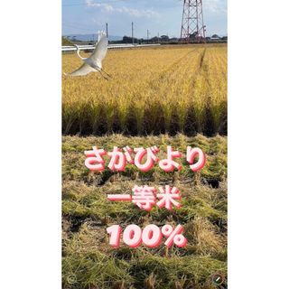 ⭐️新米 令和5年産1等米⭐️佐賀県産さがびより20k(5k×4袋)(米/穀物)