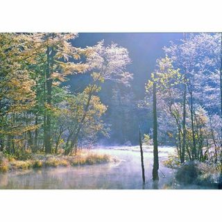 M30 田代池/湿原/上高地/長野県/日本の風景/アートパネル(絵画/タペストリー)