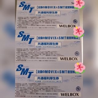 映画観賞券　全国のMOVIX＆SMT直営映画館(その他)