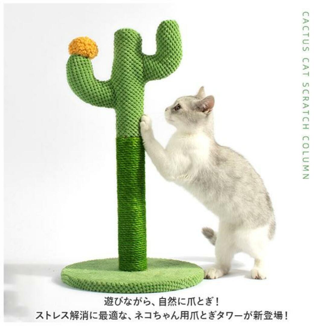 【並行輸入】猫 爪とぎ pkxx21063 その他のペット用品(その他)の商品写真