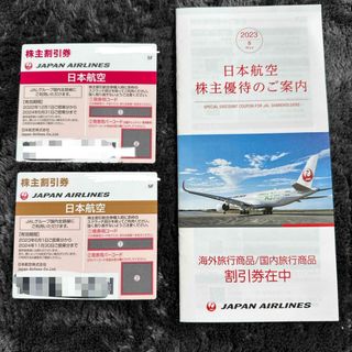 ジャル(ニホンコウクウ)(JAL(日本航空))のJAL優待券　2024/5/31までと11/30まで各1枚(その他)