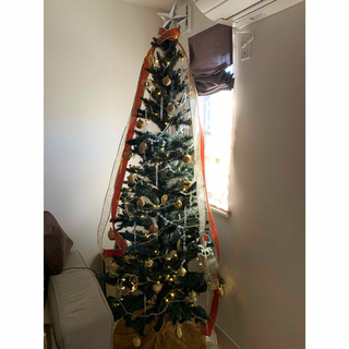 クリスマスツリー　210cm(その他)