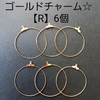 1点限定‼️【R】ゴールドチャーム☆6個(各種パーツ)