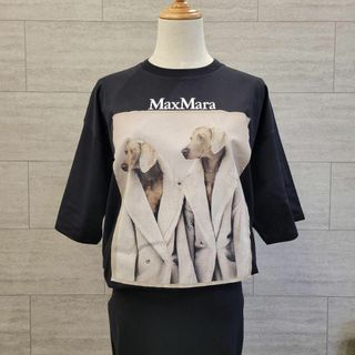 マックスマーラ(Max Mara)の★新品未使用★Max Mara ウェグマンプリント Tシャツ XS サイズ展開有(Tシャツ(半袖/袖なし))