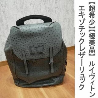 ルイヴィトン(LOUIS VUITTON)のルイヴィトン　超希少　極美品　エキゾチックレザー　リュック(バッグパック/リュック)