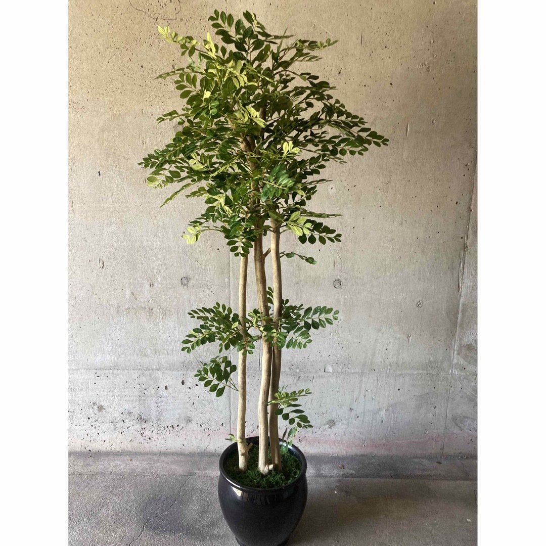 光触媒 人工観葉植物 ウォールグリーン フェイクグリーン 光触媒 人工観葉植物 ウォールグリーン フェイクグリーン
