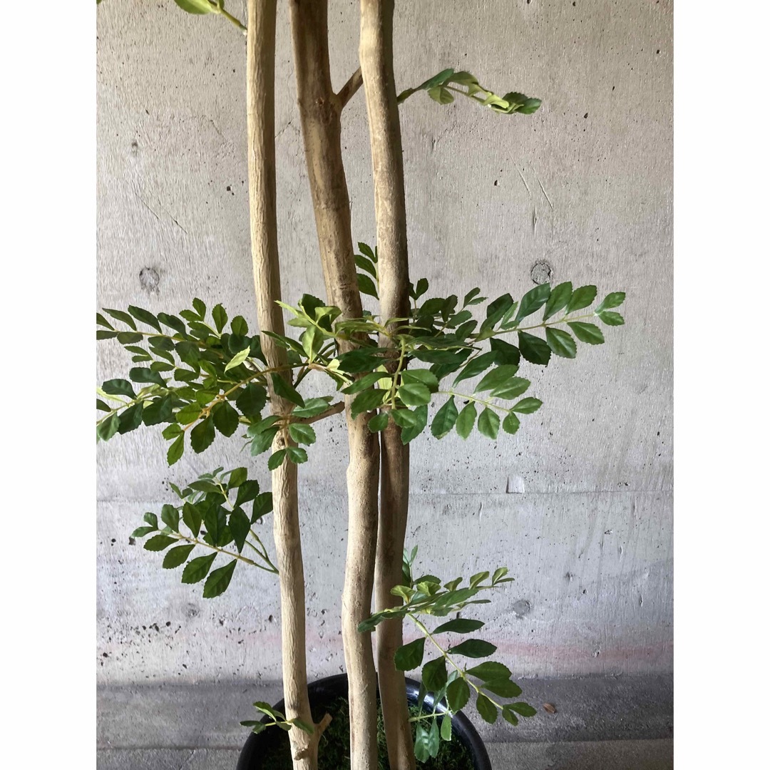 光触媒 人工観葉植物 ウォールグリーン フェイクグリーン 光触媒 人工観葉植物 ウォールグリーン フェイクグリーン