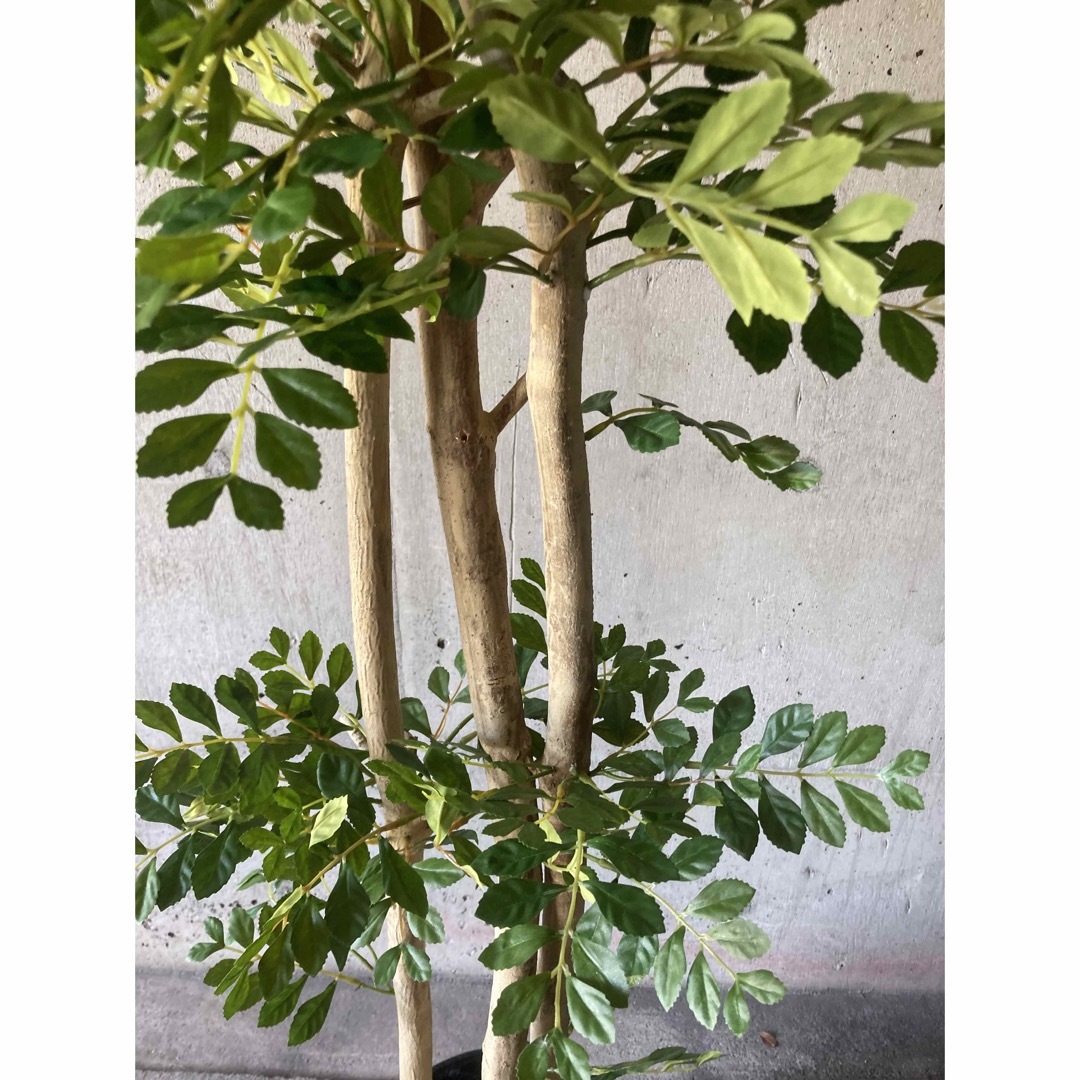 光触媒 人工観葉植物 ウォールグリーン フェイクグリーン 光触媒 人工観葉植物 ウォールグリーン フェイクグリーン