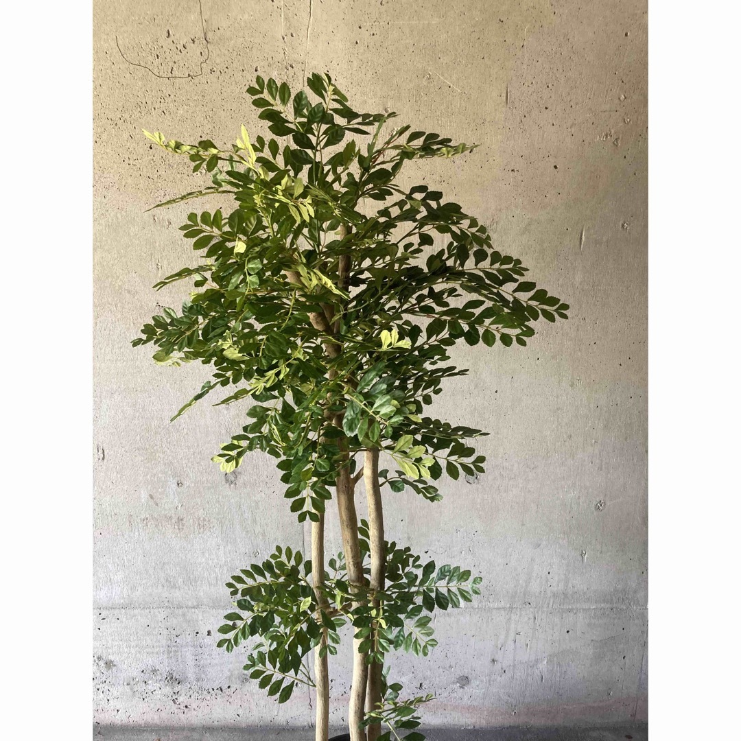 光触媒　人工観葉植物　ウォールグリーン　フェイクグリーン　トネリコ16666 その他のその他(その他)の商品写真