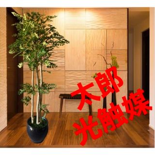 光触媒　人工観葉植物　ウォールグリーン　フェイクグリーン　トネリコ16666(その他)