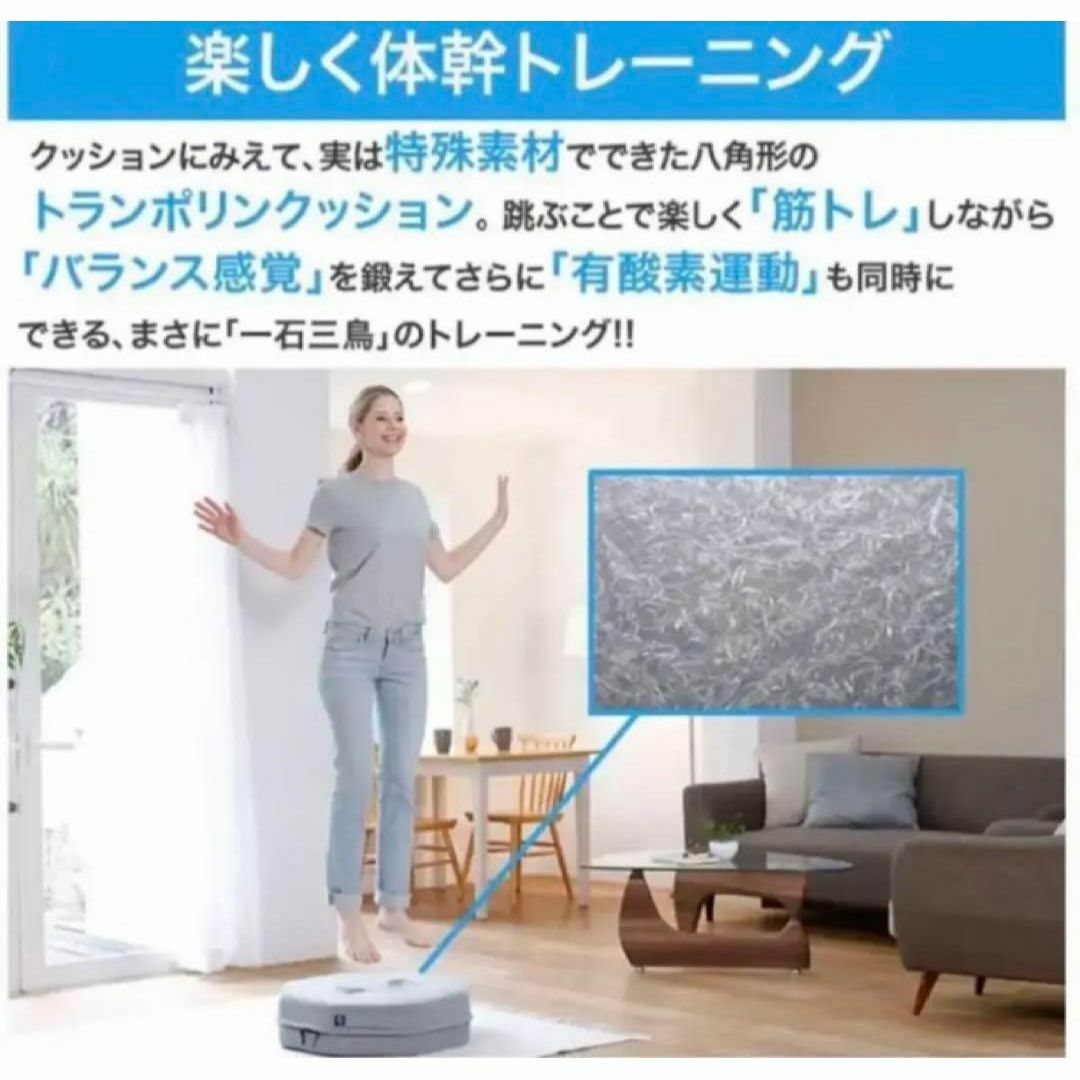 ☆美品☆ gymterior ジムテリア Shape EIght シェイプエイト スポーツ/アウトドアのトレーニング/エクササイズ(トレーニング用品)の商品写真