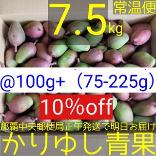 〈@100g 75-125g〉沖縄県産 摘果マンゴー約7.5kg【常温便無料】①(フルーツ)