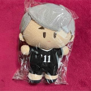 ハイキュー‼︎ ハイキュー よりぬい ぬいぐるみ マスコット 宮治