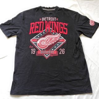 90s 90年代 メンズL位 REDWING レッドウィング ヴィンテージ(Tシャツ/カットソー(半袖/袖なし))