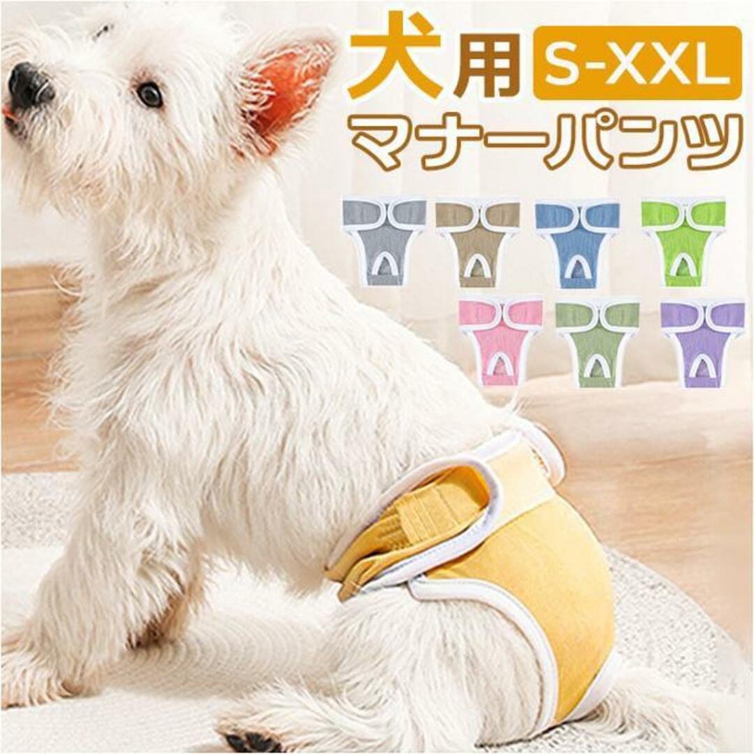 【並行輸入】ペット 犬 マナーパンツ サニタリーパンツ 無地 おしゃれ その他のペット用品(犬)の商品写真