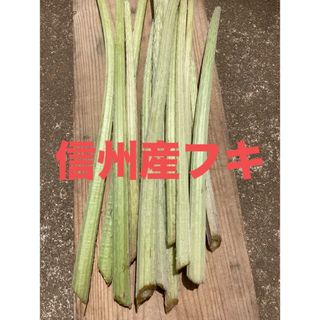 信州産 長野県産 天然ふき 無農薬(野菜)