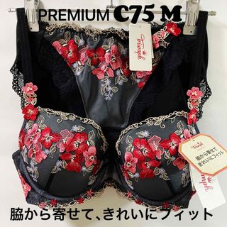 トリンプ(Triumph)のC75 トリンププレミアム レッドレーベル 0074 ブラジャー &ショーツ(ブラ&ショーツセット)