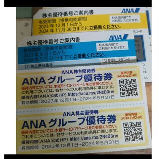 エーエヌエー(ゼンニッポンクウユ)(ANA(全日本空輸))のANA株主優待券2枚　全日本空輸　全日空　ANA　優待券(その他)