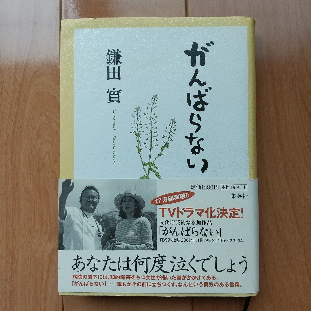 がんばらない エンタメ/ホビーの本(文学/小説)の商品写真