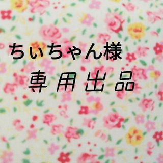 ちぃちゃん様専用　移動ポケット3点　クリップ付き　送料込み(外出用品)