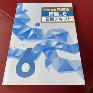 中学受験　新演習　算数小6  夏期テキスト