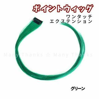 ポイントウィッグ★グリーン★取外し可能なエクステ★他のカラーもお尋ね下さい★新品(その他)