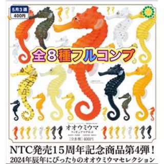 NTC MONO+ オオウミウマ フィギュアマグネット レアアソート入り全8種(その他)