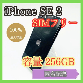 アイフォーン(iPhone)のオマケ無しiPhone SE2 SIMフリー 第2世代 256GB 管理875(スマートフォン本体)