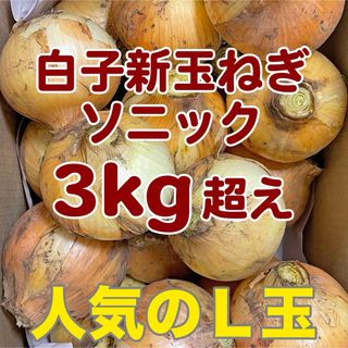 千葉県白子産 新玉ねぎ L玉 3kg超えで梱包 2024年産 ソニック 産地直送(野菜)