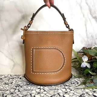 DELVAUX - delvaux デルヴォー【極美品】 パン ミニ バケット バッグ