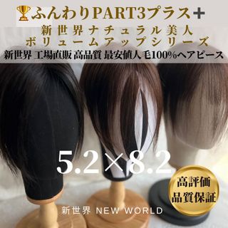 2024新世界　レミー100%　ヘアピース　シルクスキン　部分ウィッグ　Bタイプ(前髪ウィッグ)