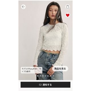 エイチアンドエム(H&M)のH&M レーストップス XS(シャツ/ブラウス(長袖/七分))