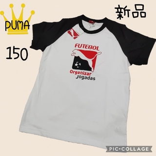プーマ(PUMA)の新品【PUMA】プーマ　Tシャツ　150　フットボール　男の子　サッカー　速乾(Tシャツ/カットソー)