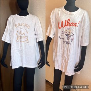 チイカワ(ちいかわ)のちいかわ　らっこ　白　Tシャツ　２着セット　半袖　半袖Tシャツ(シャツ/ブラウス(長袖/七分))