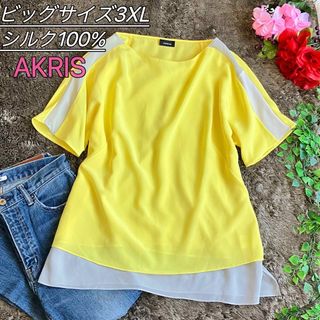 AKRIS - 大きいサイズ/美品★アクリス ブラウス 半袖 シルク シアー レイヤード 46