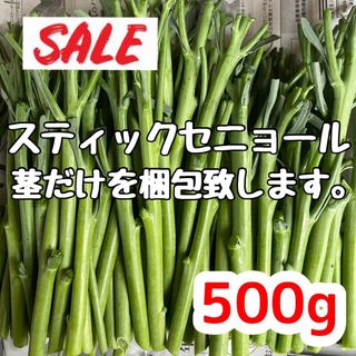 茎のみ 500g 高知特産 土佐ニンニク ニンニクの芽 即購入OK wt(野菜)